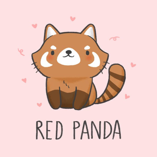 Cute Red Panda Cartoon Hand Drawn Style Stock Illustration - Download Image  Now - Red Panda, Cute, Emoticon - iStock