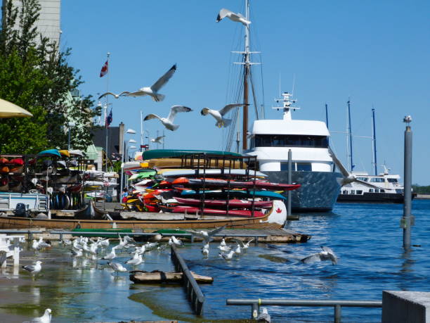marina i widok na nabrzeże wzdłuż lakeshore n toronto, kanada - toronto waterfront commercial dock canada zdjęcia i obrazy z banku zdjęć
