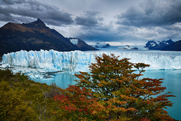 istock Panoramic view of the Perito Moreno Glacier 1146867159