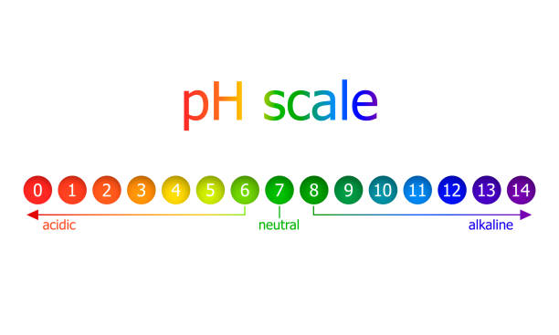 Vector pH Scale Scheme, Rainbow Colors, Isolated on White Background Illustration. Vector pH Scale Scheme, Rainbow Colors, Isolated on White Background Illustration, Healthy Eating Concept. soil tester stock illustrations