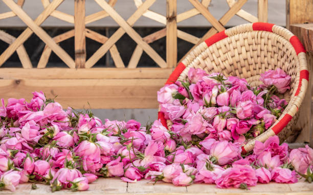 istock damask roses falling out of a basket 1146870675