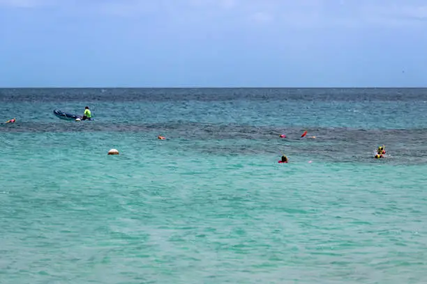 Snorkeling on the Great Barrier Reef - Michaelmas Cay National Park - in the northeast of the Australian state of Queensland