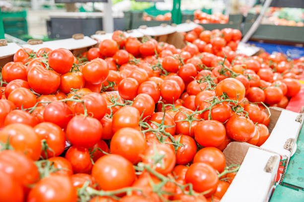 istock Ripe tomatoes at a farmers market 1146876712