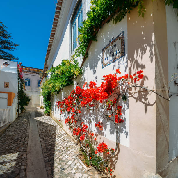 narrow, cozy and beautiful streets of cascais, district of lisbon, portugal during sunny day - lisbon square landscape imagens e fotografias de stock