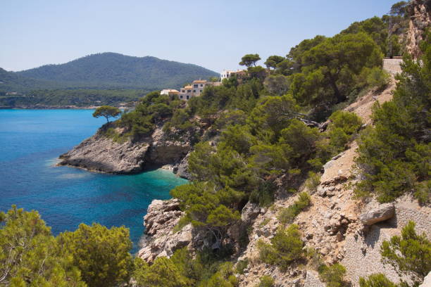 istock Coast at the road to Cuevas de Arta 1146883169