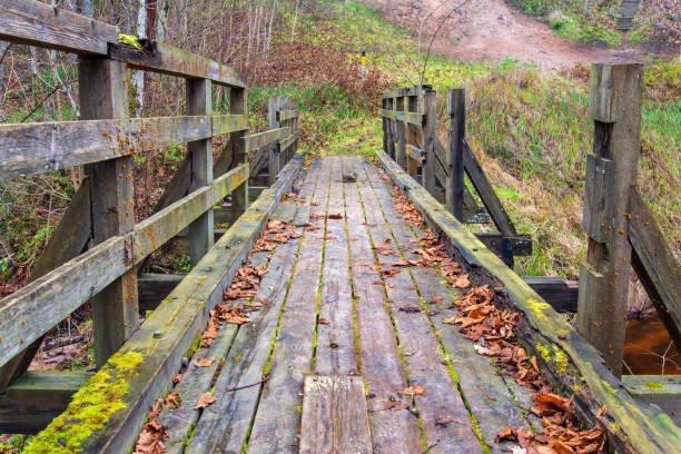 istock wooden plank foothpath boardwalk trampoline in the lake 1146883765