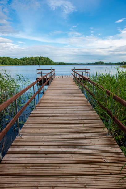 istock wooden plank foothpath boardwalk trampoline in the lake 1146883877
