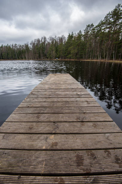 istock wooden plank foothpath boardwalk trampoline in the lake 1146883888