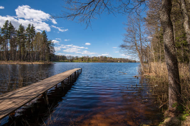 istock wooden plank foothpath boardwalk trampoline in the lake 1146883913