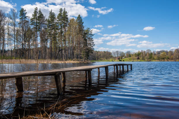 istock wooden plank foothpath boardwalk trampoline in the lake 1146883914