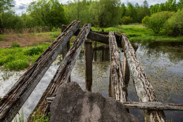 istock wooden plank foothpath boardwalk trampoline in the lake 1146883948