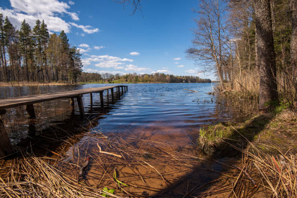 istock wooden plank foothpath boardwalk trampoline in the lake 1146883951