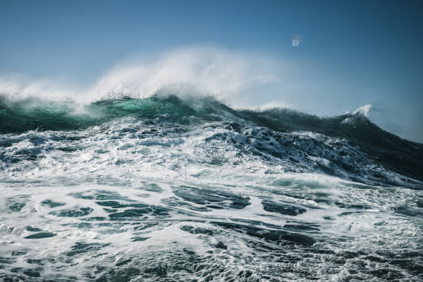 a forma do mar: ondas que travam - boat horn - fotografias e filmes do acervo