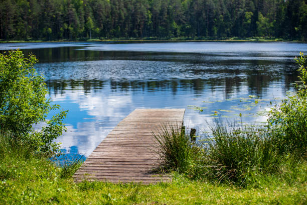 istock wooden plank foothpath boardwalk trampoline in the lake 1146883988