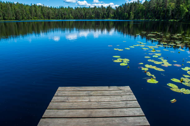 istock wooden plank foothpath boardwalk trampoline in the lake 1146883990