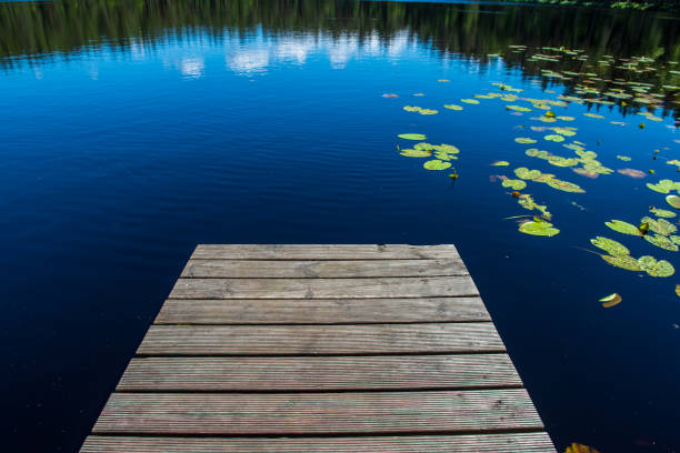istock wooden plank foothpath boardwalk trampoline in the lake 1146884005