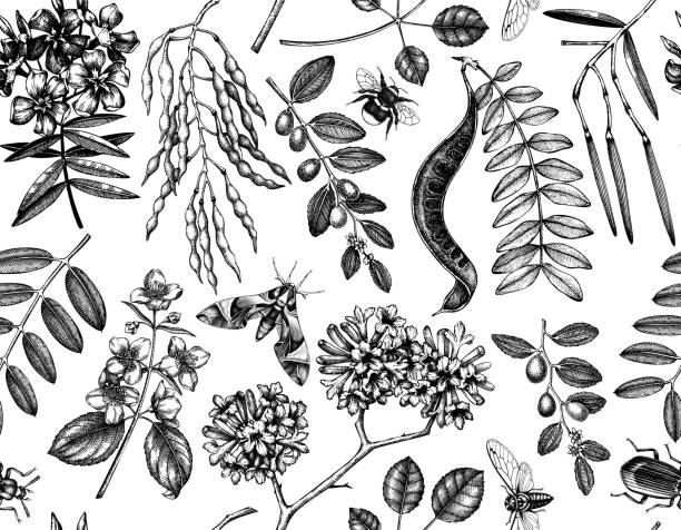 ilustraciones, imágenes clip art, dibujos animados e iconos de stock de patrón floral sin costuras con insectos - japanese maple maple tree leaf backgrounds