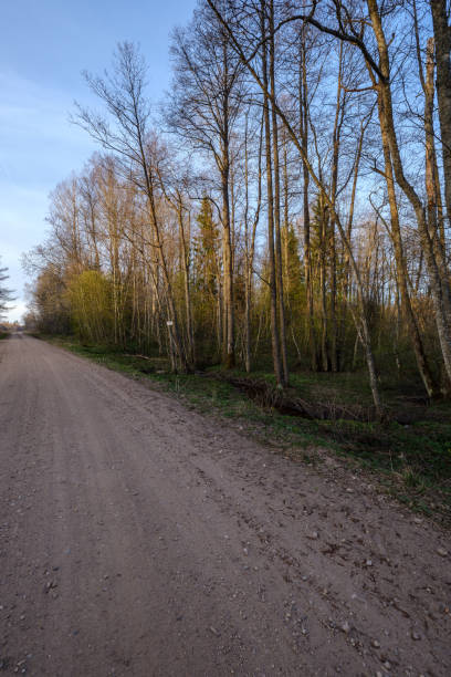 istock b eautiful countryside gravel road in sunset 1146889093