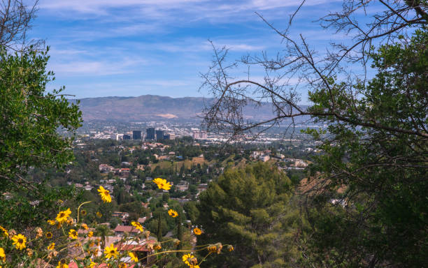 Big Black Buildings. Through the over view at the hill, the 4 black buildings eye gazing to the south of this hill. They looks Warner centers but not identified. woodland hills los angeles stock pictures, royalty-free photos & images