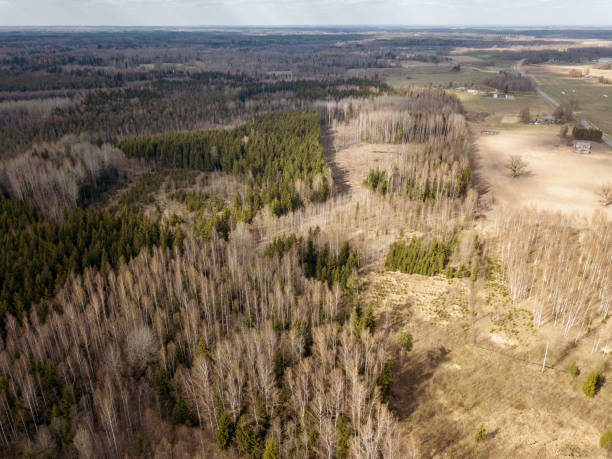 istock aerial view of countryside fields and forests with small lakes 1146889410