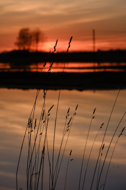 istock colorful sunset over the lake in summer 1146889846