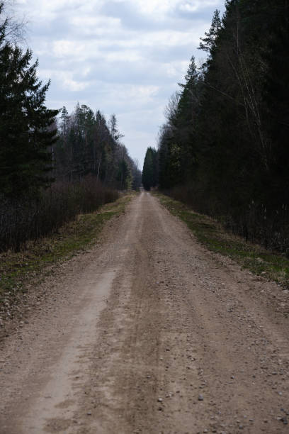 istock b eautiful countryside gravel road in sunset 1146890404