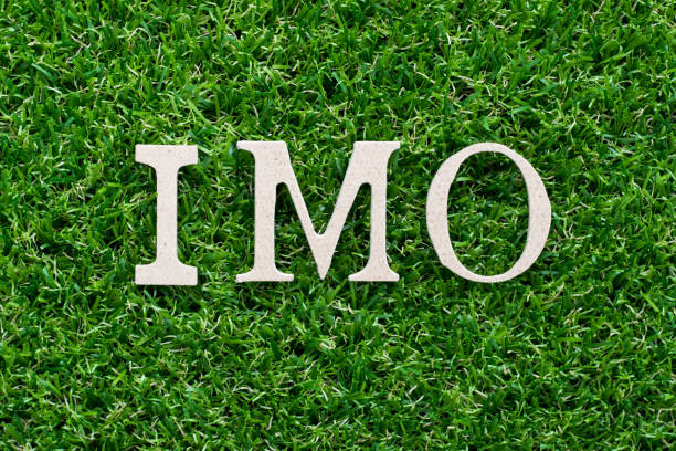 istock Wood alphabet in word IMO (abbreviation of in my opinion) on artificial green grass background 1146891637
