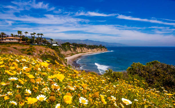 istock Hills of sea breeze. 1146892676