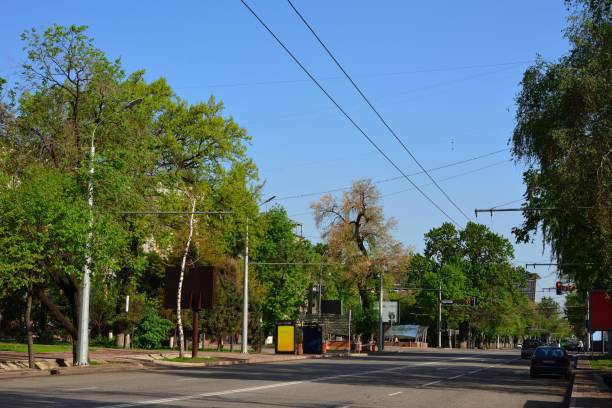 istock Almaty city streets green trees 1146897124