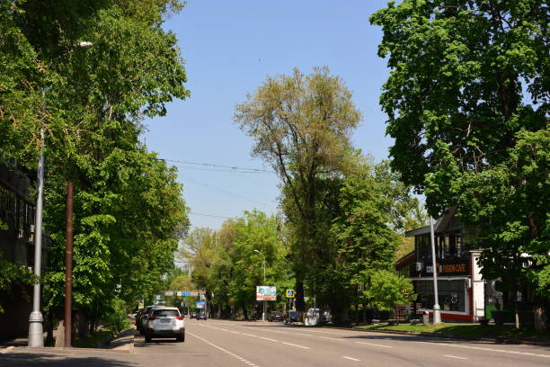 istock Almaty city streets green trees 1146897171