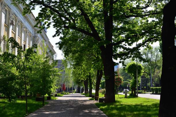 istock Almaty city streets green trees 1146897208