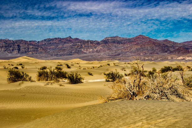 istock desert in California 1146901958