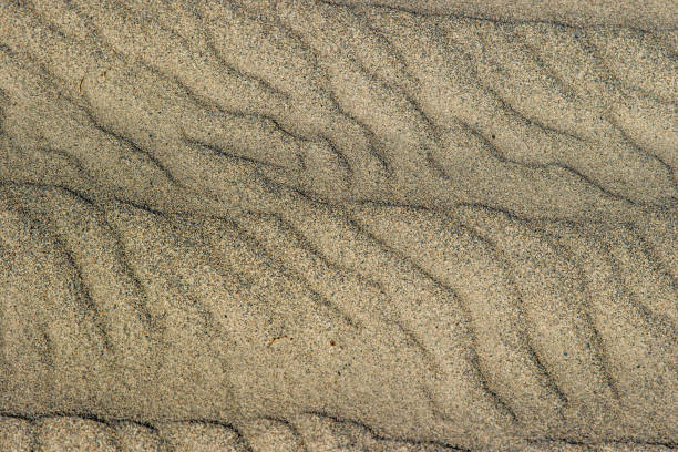 istock desert in California 1146902079
