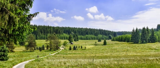 Romantic landscape in the Schwarzwassertal in the Erzgebirge in Saxony / Germany Romantic landscape in the Schwarzwassertal in the Erzgebirge (Ore Mountains) in Saxony / Germany erzgebirge stock pictures, royalty-free photos & images
