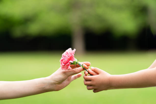 istock Mother and daughter handing pink carnation 1146903768