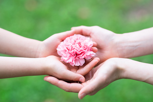 Mother and daughter handing pink carnation