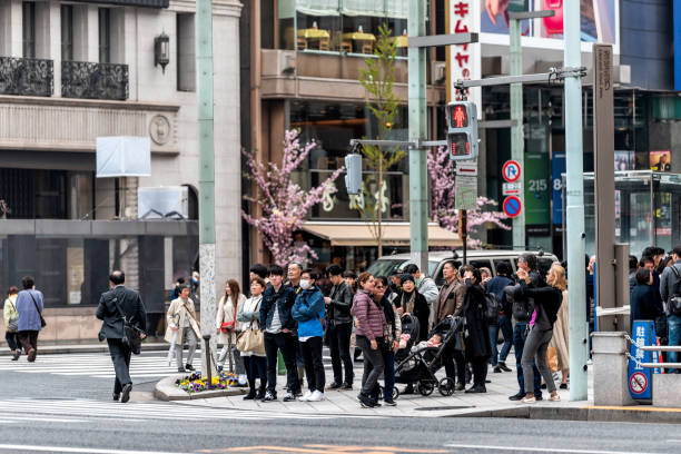 ginza района со многими людьми, японцы ждут, чтобы перейти улицу - 13425 стоковые фото и изображения