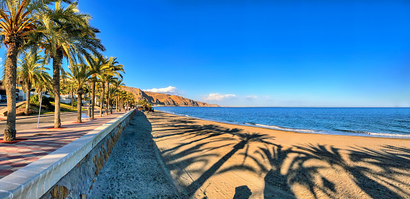 Panoramic view of the Mediterranean beach  palm tree lined promenade in Roquetas de Mar, southern Spain.