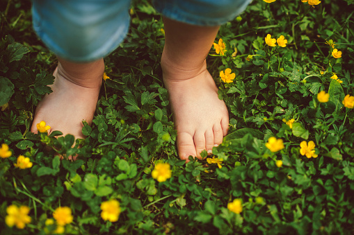 Feet of toddler among flowers