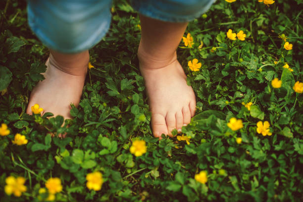 детские ноги на зеленой траве - baby toddler child flower стоковые фото и изображения