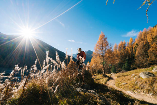 istock Female hiker relaxes in grassy meadow 1146909449