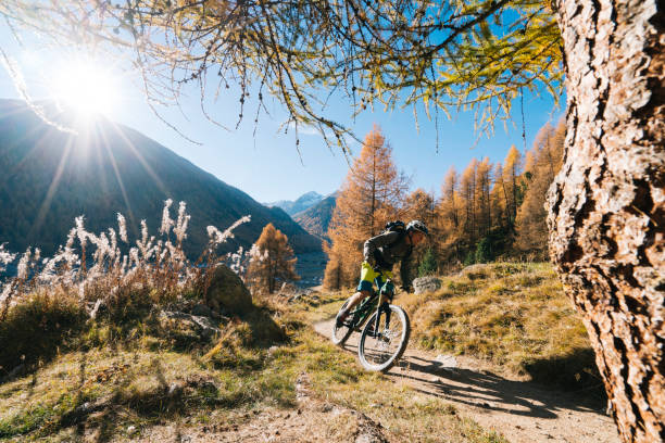 istock Mountain biker rides down grassy slope 1146909614