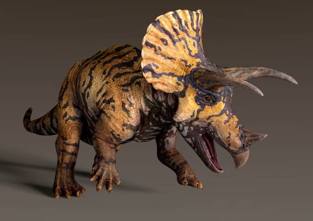 istock 3D illustration dinosaur Triceratops 1146909635