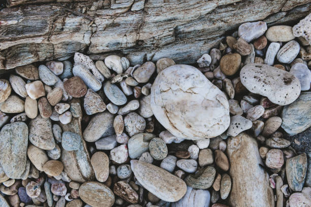 Mix sea rocks background with grey tone color applied concept.