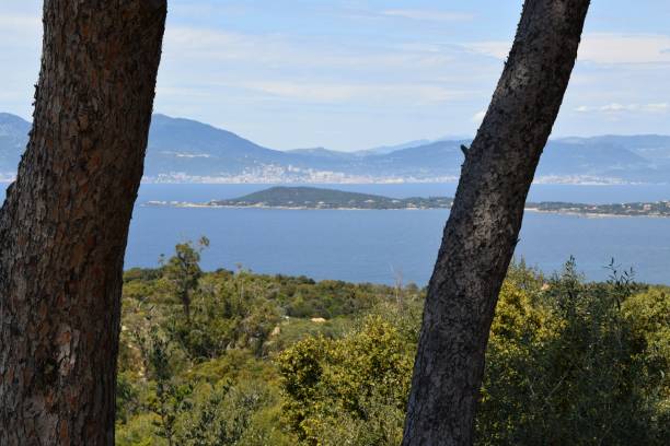 istock View of Ajaccio 1146916265