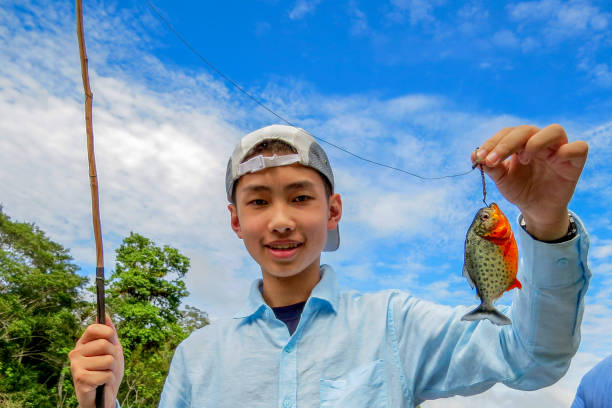 istock Piranha fishing in Amazon jungle river, Peru 1146916438