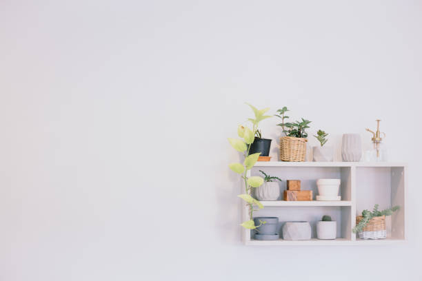 istock white wooden shelf with small plant on pot and ceramic material and space on wall 1146918332