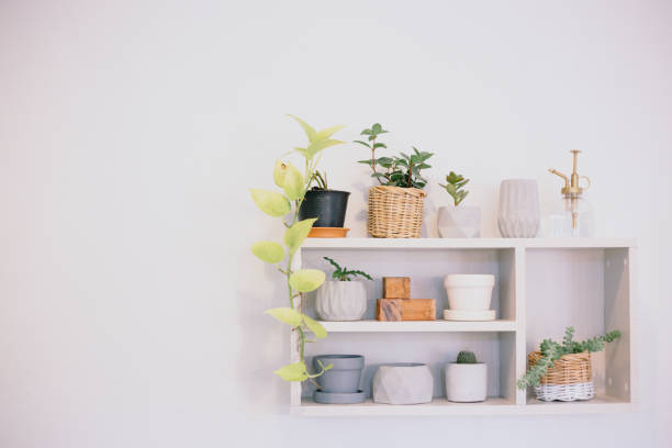 istock white wooden shelf with small plant on pot and ceramic material on wall 1146918340