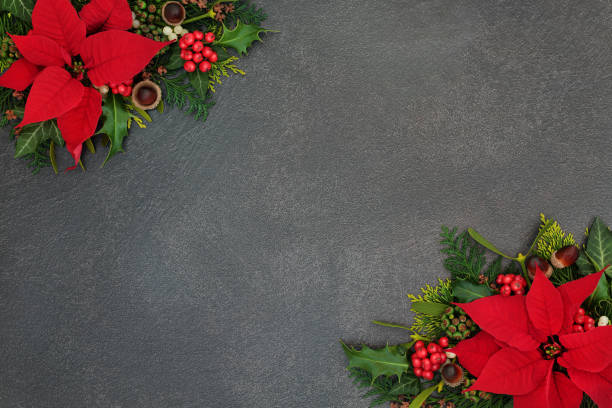 istock Poinsettia Flower Border 1146918640