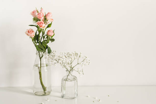 istock Romantic elegant minimalistic composition with roses and gypsophila flowers. mockup 1146921390